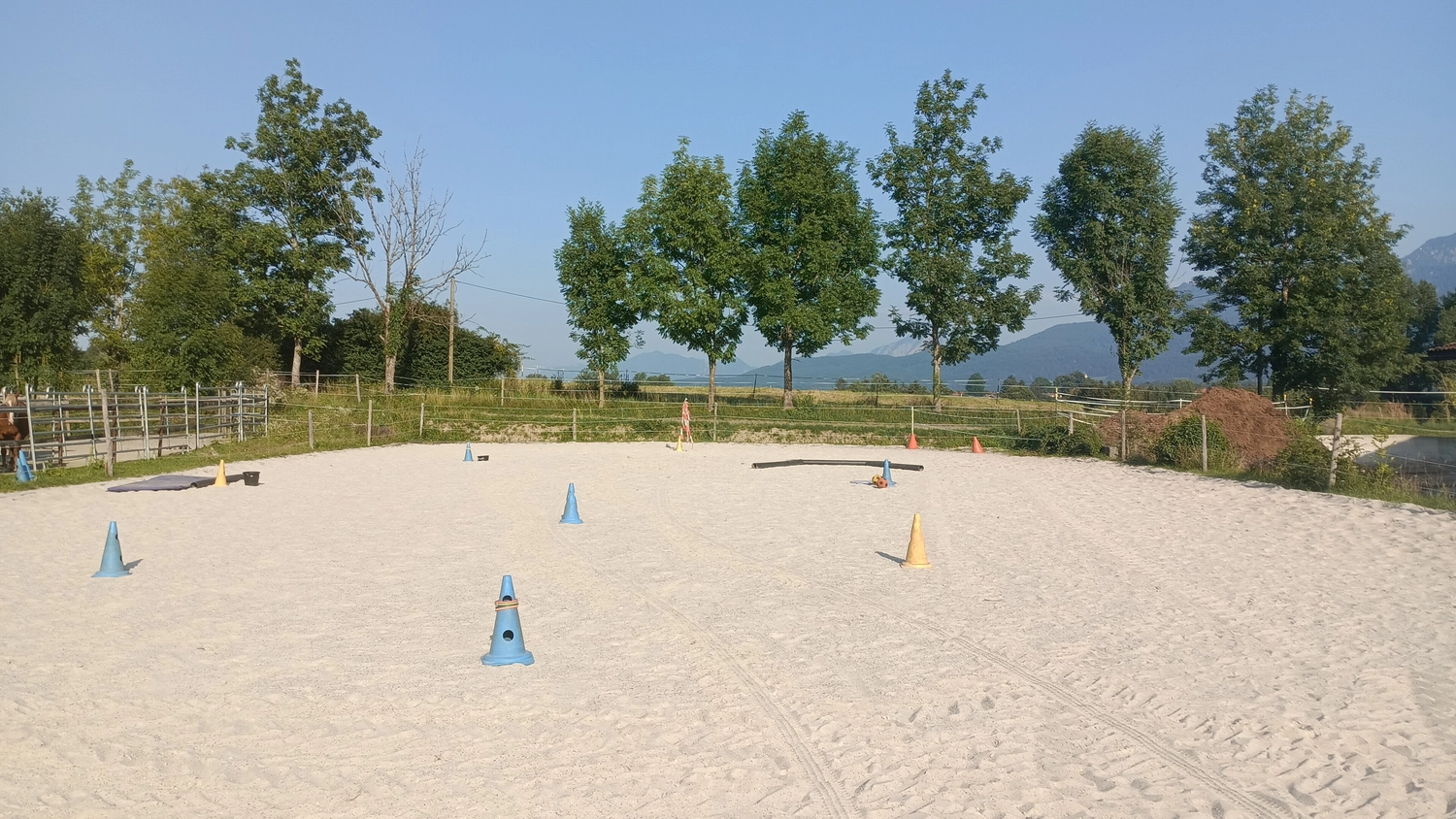 Selina - Pferdetherapie - Reitplatz