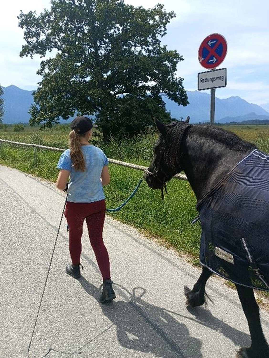 Selina - Pferdetherapie - Reitplatz